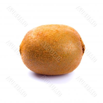 kiwi on white