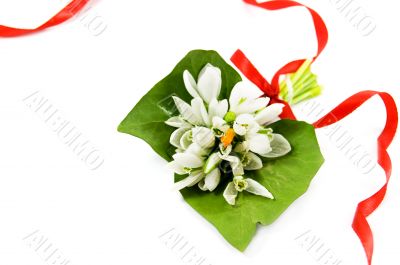 Spring flowers
