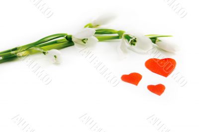 Flowers and love