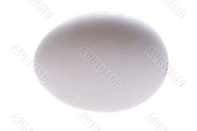 egg on white