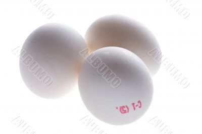 eggs on white