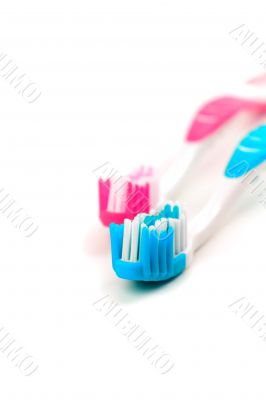 two toothbrushes