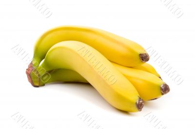 bananas bunch