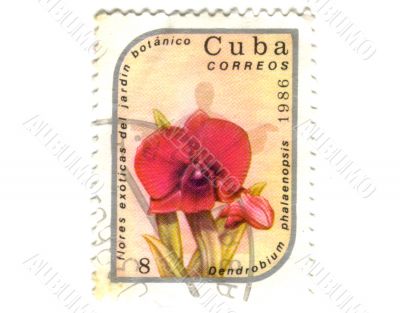 Old postage stamp from Cuba with flower