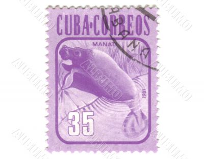 Old postage stamp from Cuba with Manatus