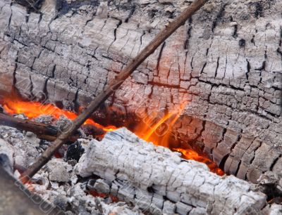 burning logs