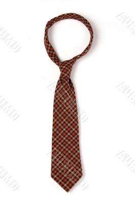 Red checkered man`s necktie