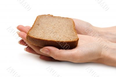 Piece of the pumpernickel in woman hands