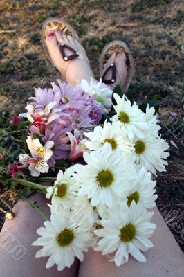 Colorful Flowers