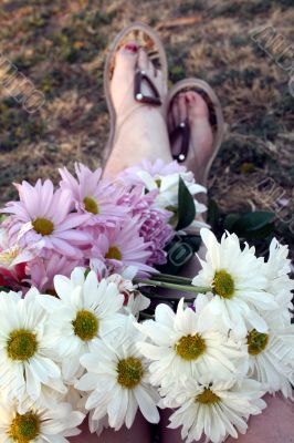 Colorful Flowers