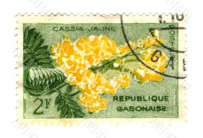 Gobon stamp with yellow Cassia flower