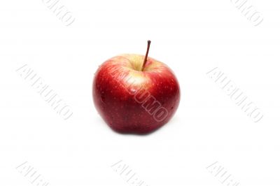 Red apple 2