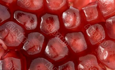 Red grains of pomegranate background