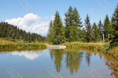 Trees and clouds reflecting in pond