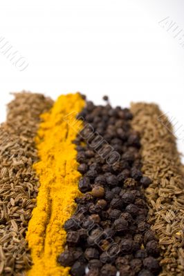 various spices