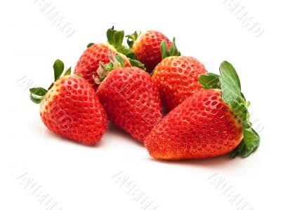 garden strawberry