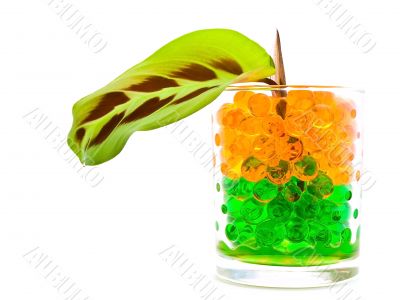 leaf in the glass