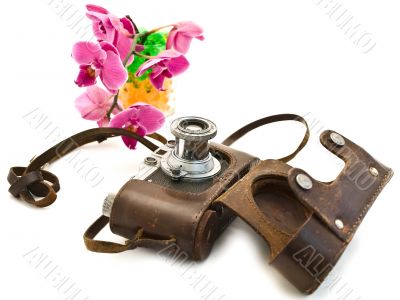 photocamera and pink orchid