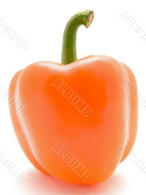 orange paprika