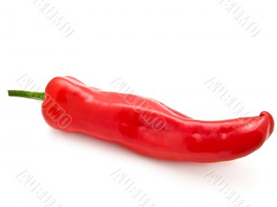 red pepper