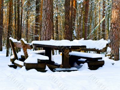 table in winter forest