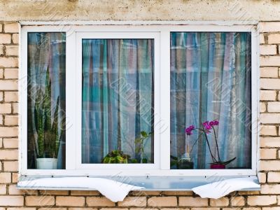 window