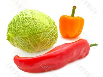 pepper and cabbage