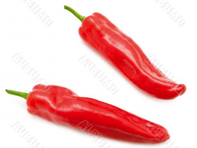 red pepper