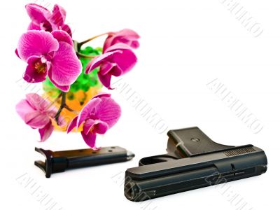 pink orchid and gun