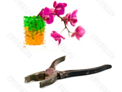 old pliers and pink orchid