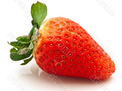 garden strawberry