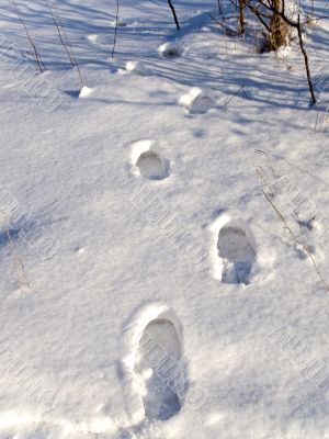 footprints