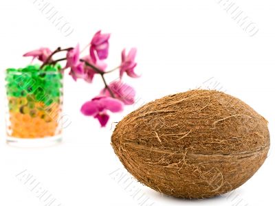 coconut and pink orchid