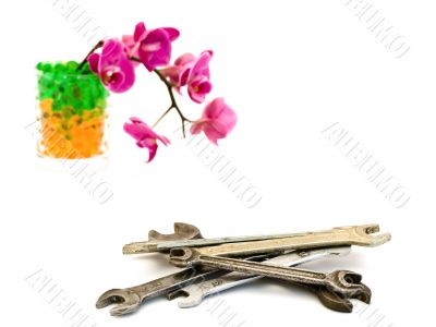 spanners and pink orchid