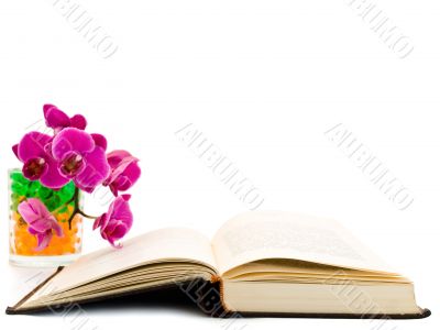 open book and  orchid