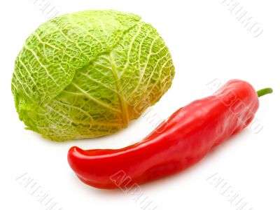 cabbage and pepper