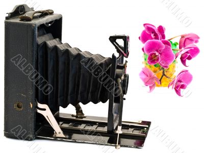 old camera and flowers
