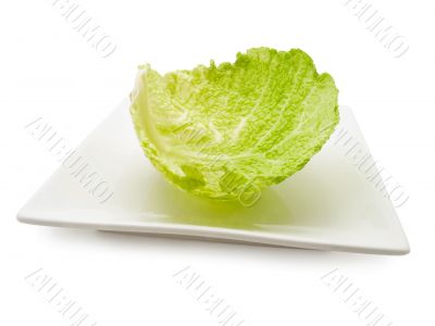 cabbage leaf at plate