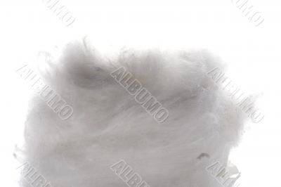 absorbent cotton macro