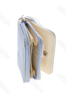 purse on white