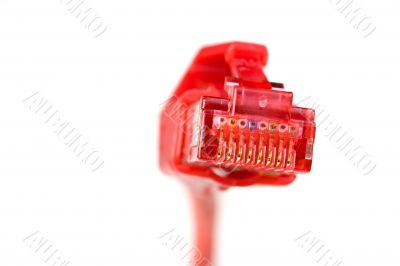 network