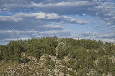Landscape with cliff, pine and cloudy sky