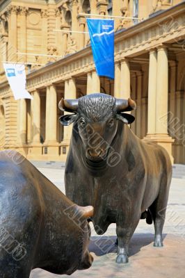 The Bull and the Bear