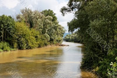 Danube channel and trees