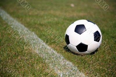 Soccer Ball