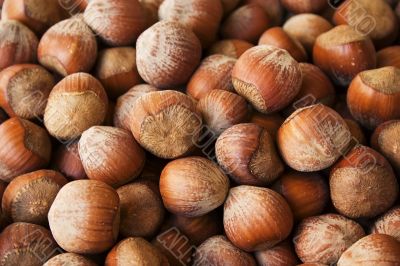 hazelnuts