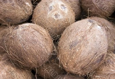 coconuts