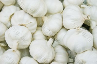 garlic