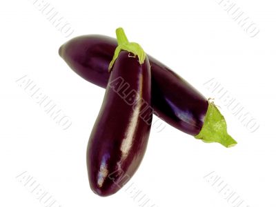 eggplants