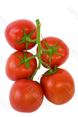 tomato